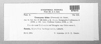 Uromyces viciae-fabae image